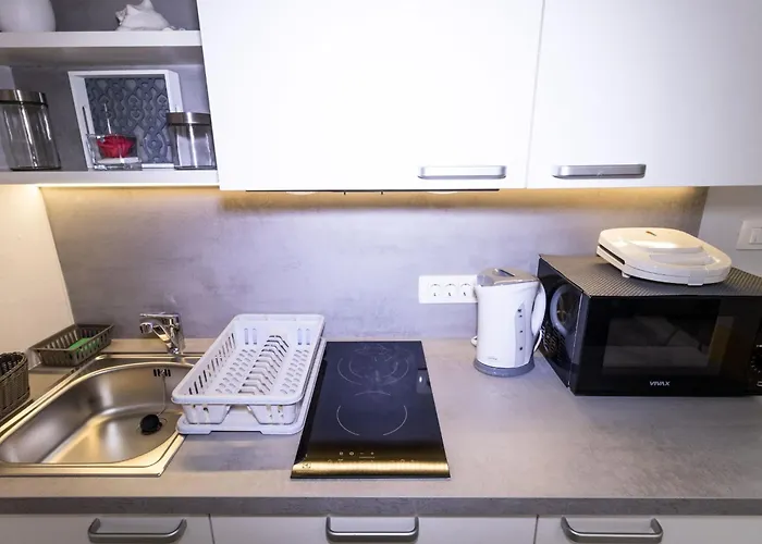 Downtown Chic And Cozy - Classic One Bedroom Appartement *